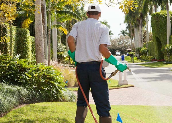 About Fairfield NE Pest Control